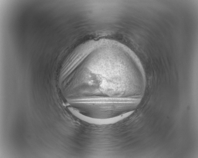 X0000070161393200606162018