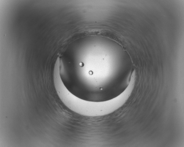 X0000070161394200606162018