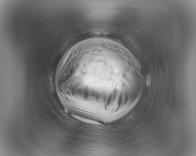 X0000070161396200606162018