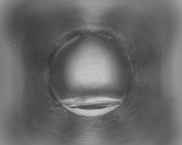 X0000070161397200606162018