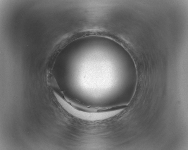 X0000070161398200606162018