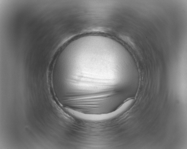 X0000070161404200606162018