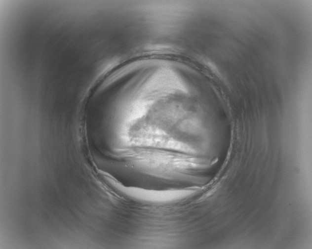 X0000070161405200606162018