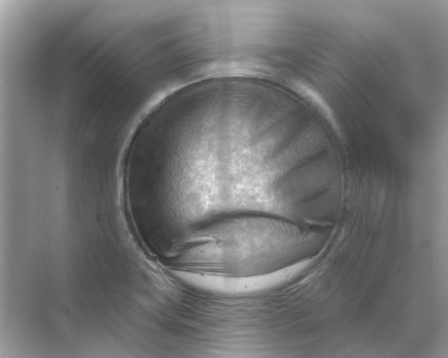 X0000070161419200606162018