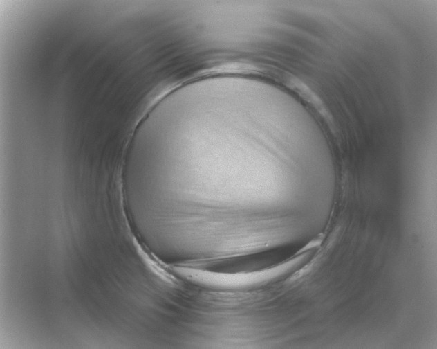 X0000070161425200606162018