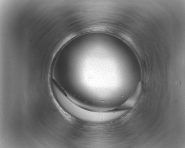 X0000070161426200606162018