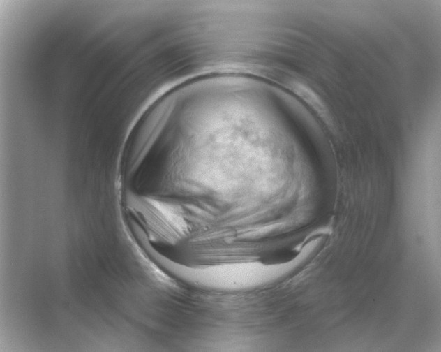 X0000070161428200606162018