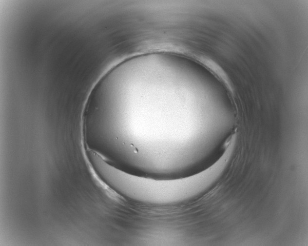X0000070161439200606162018