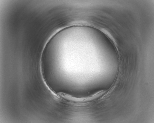 X0000070161440200606162018