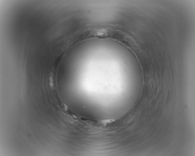 X0000070161442200606162018