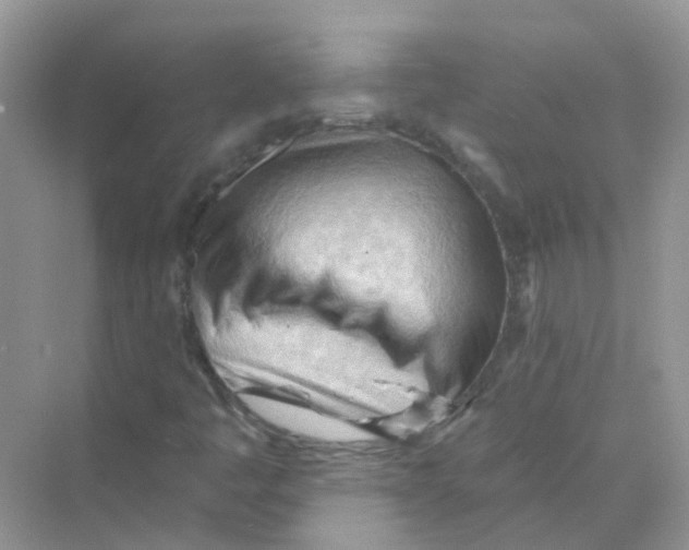 X0000070161445200606162017