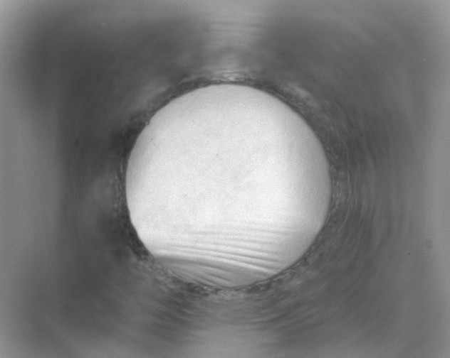 X0000070161446200606162017