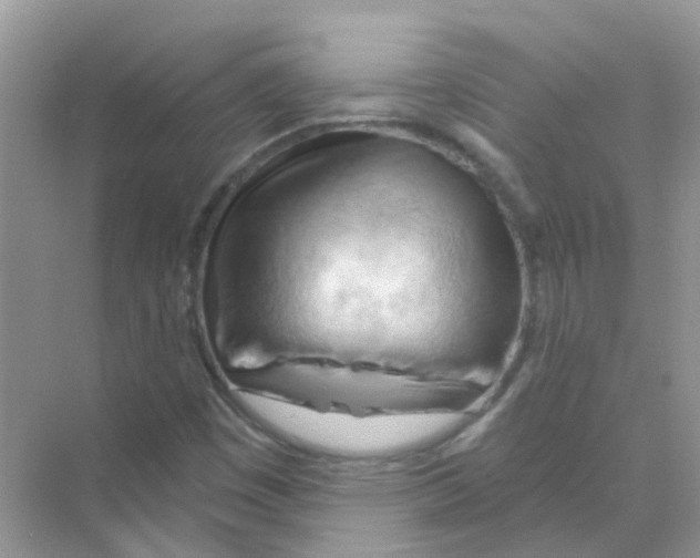 X0000070161449200606162017