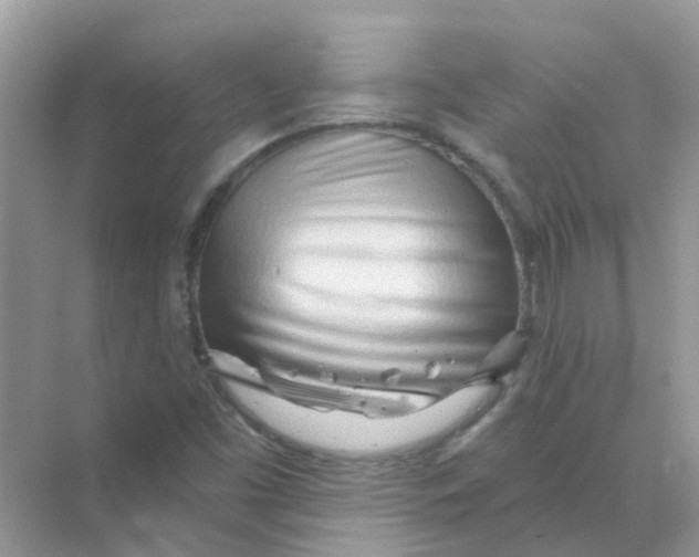 X0000070161453200606162017