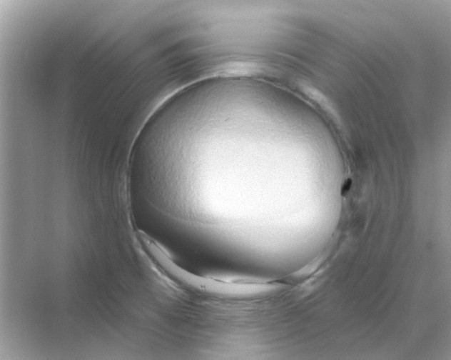 X0000070161473200606162017