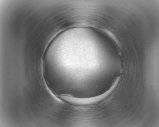 X0000070161476200606162017