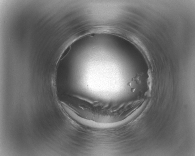X0000070161481200606162017
