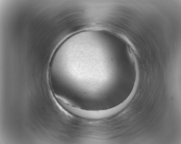 X0000070161484200606162017