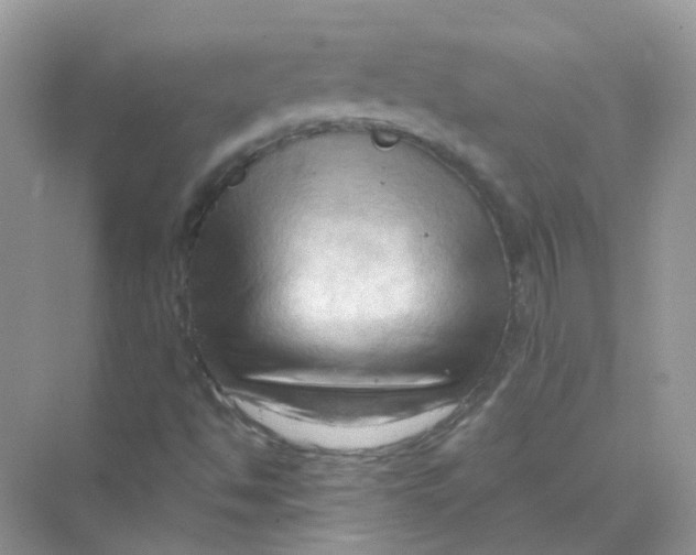 X0000070161494200606162016