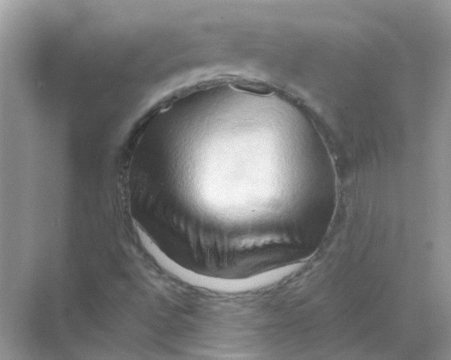X0000070161496200606162016