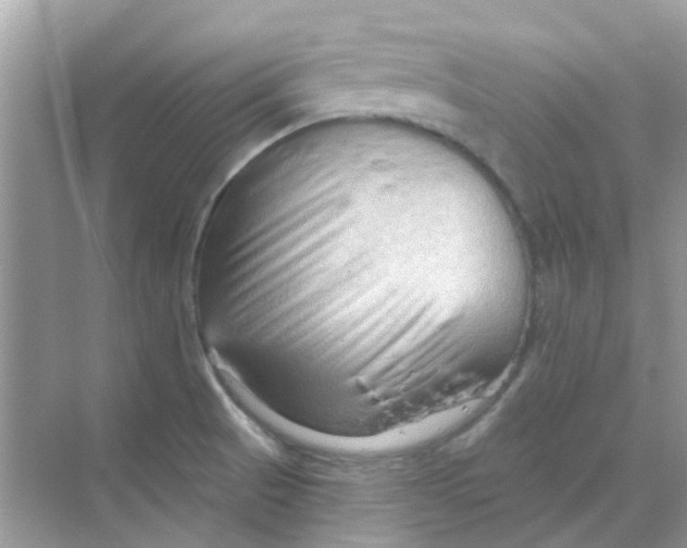 X0000070161521200606162016