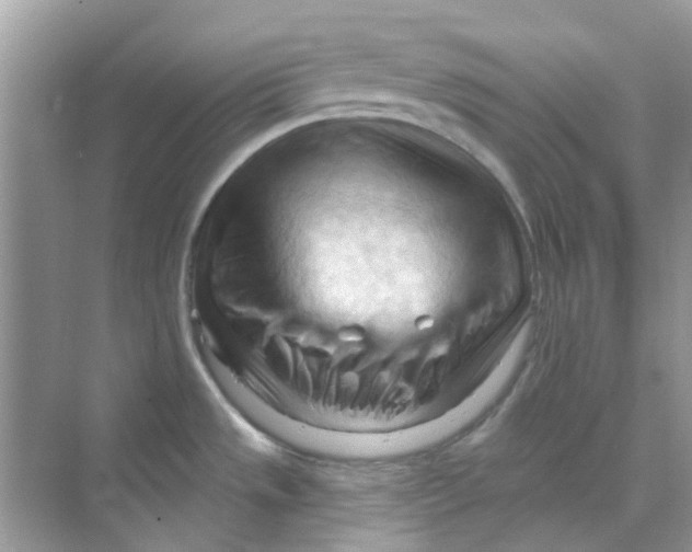 X0000070161533200606162017