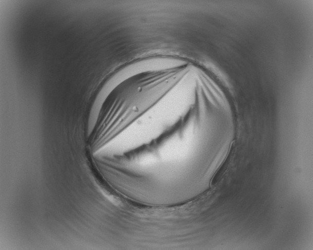 X0000070160009200606231907