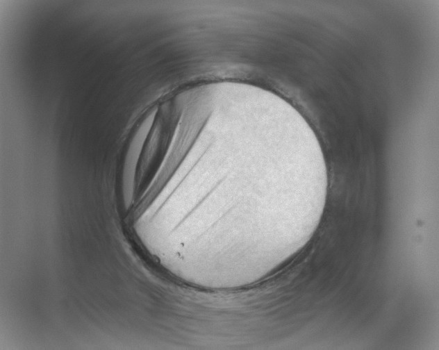 X0000070160010200606231907