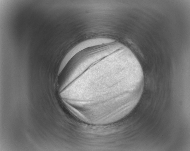 X0000070160026200606231906