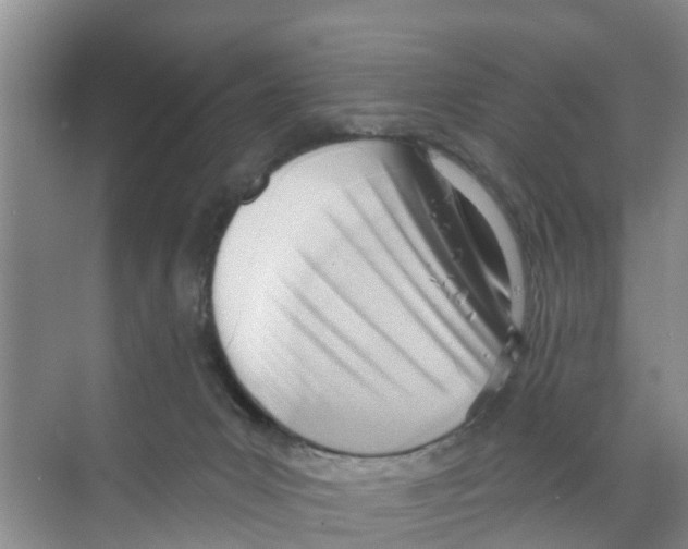 X0000070160031200606231906