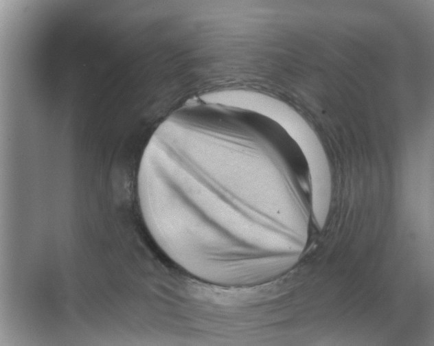 X0000070160039200606231906