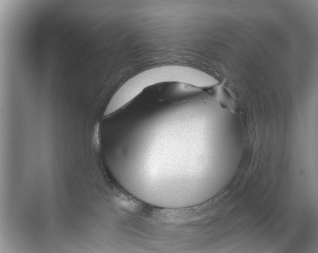 X0000070160041200606231906