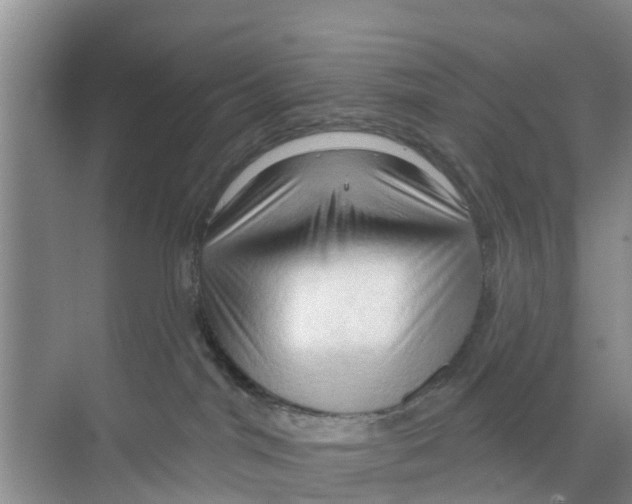 X0000070160044200606231906