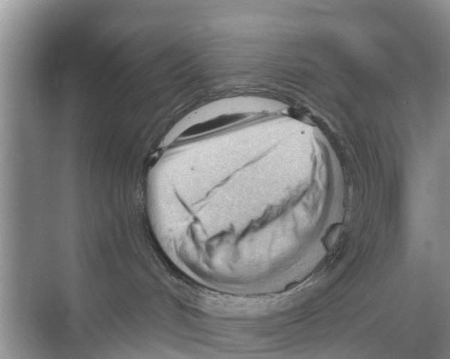 X0000070160048200606231906