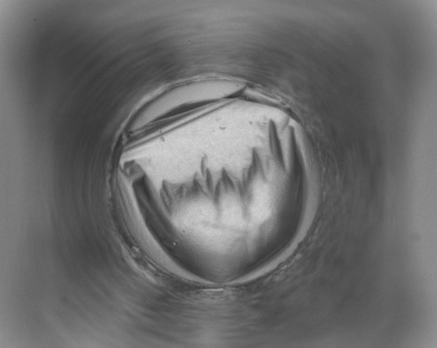 X0000070160050200606231905