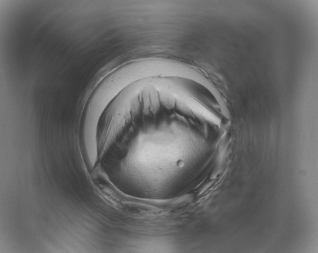 X0000070160051200606231905