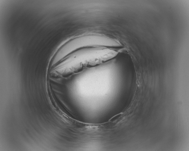 X0000070160052200606231905
