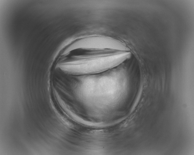 X0000070160054200606231905