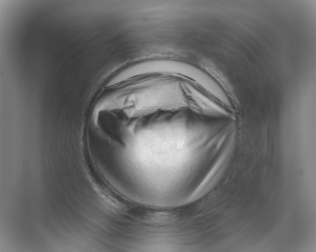 X0000070160058200606231905