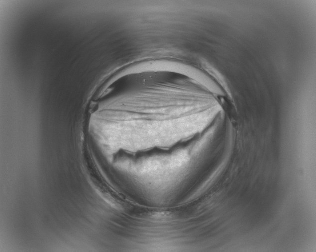 X0000070160059200606231905