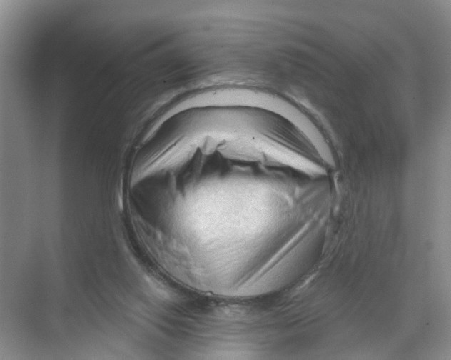 X0000070160062200606231905