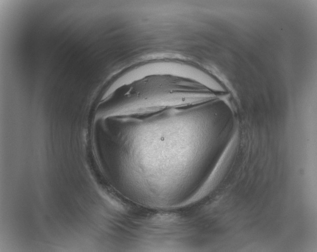 X0000070160063200606231905