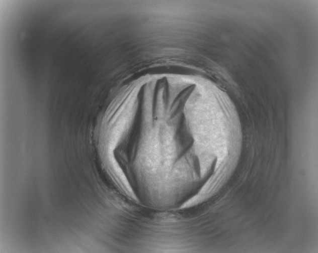 X0000070160073200606231906