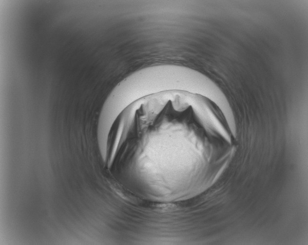 X0000070160087200606231906
