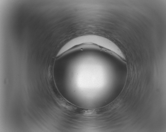 X0000070160088200606231906