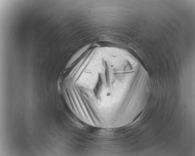 X0000070160094200606231906
