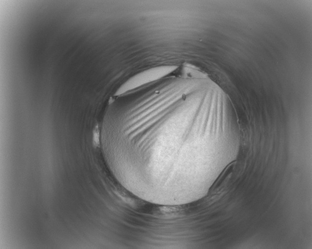 X0000070160095200606231906