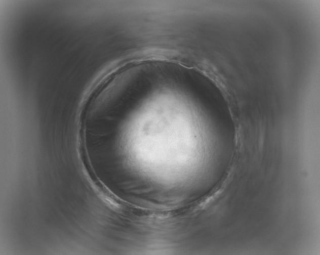 X0000070160101200606231905