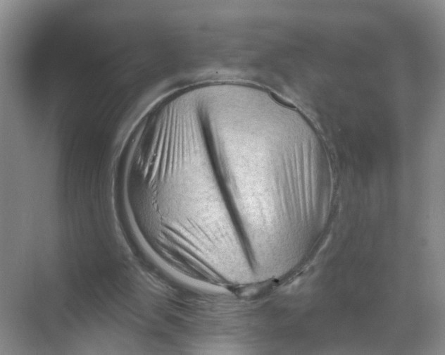 X0000070160103200606231905