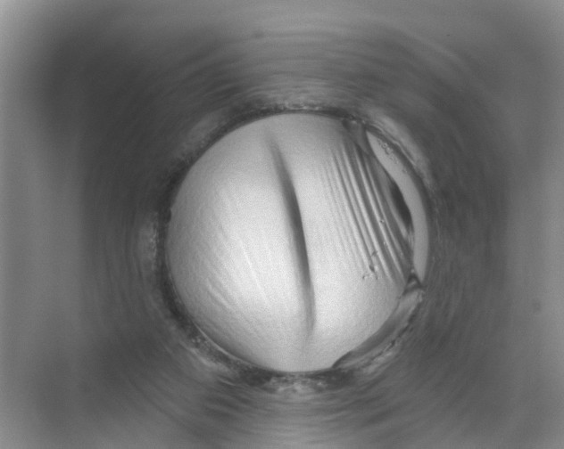 X0000070160113200606231905